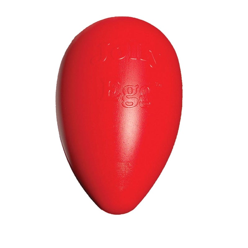 Jolly Pets Jolly Egg Dog Toy, 8 Inches/Medium, Yellow - Image 3